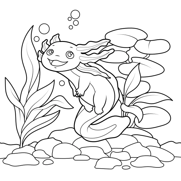 Axolotl | Online-Malvorlagen für Kinder