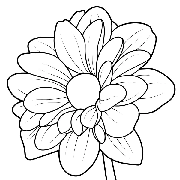 Dahlia | Online-Malvorlagen für Kinder