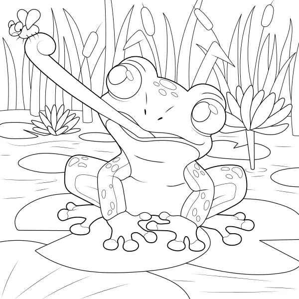 Frosch | Online-Malvorlagen für Kinder