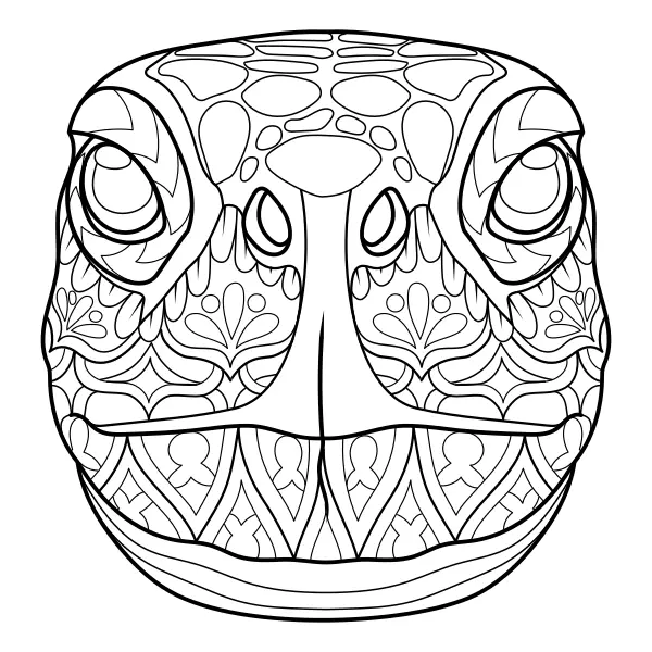 Mandala – Schildkröte | Online-Malvorlagen für Kinder